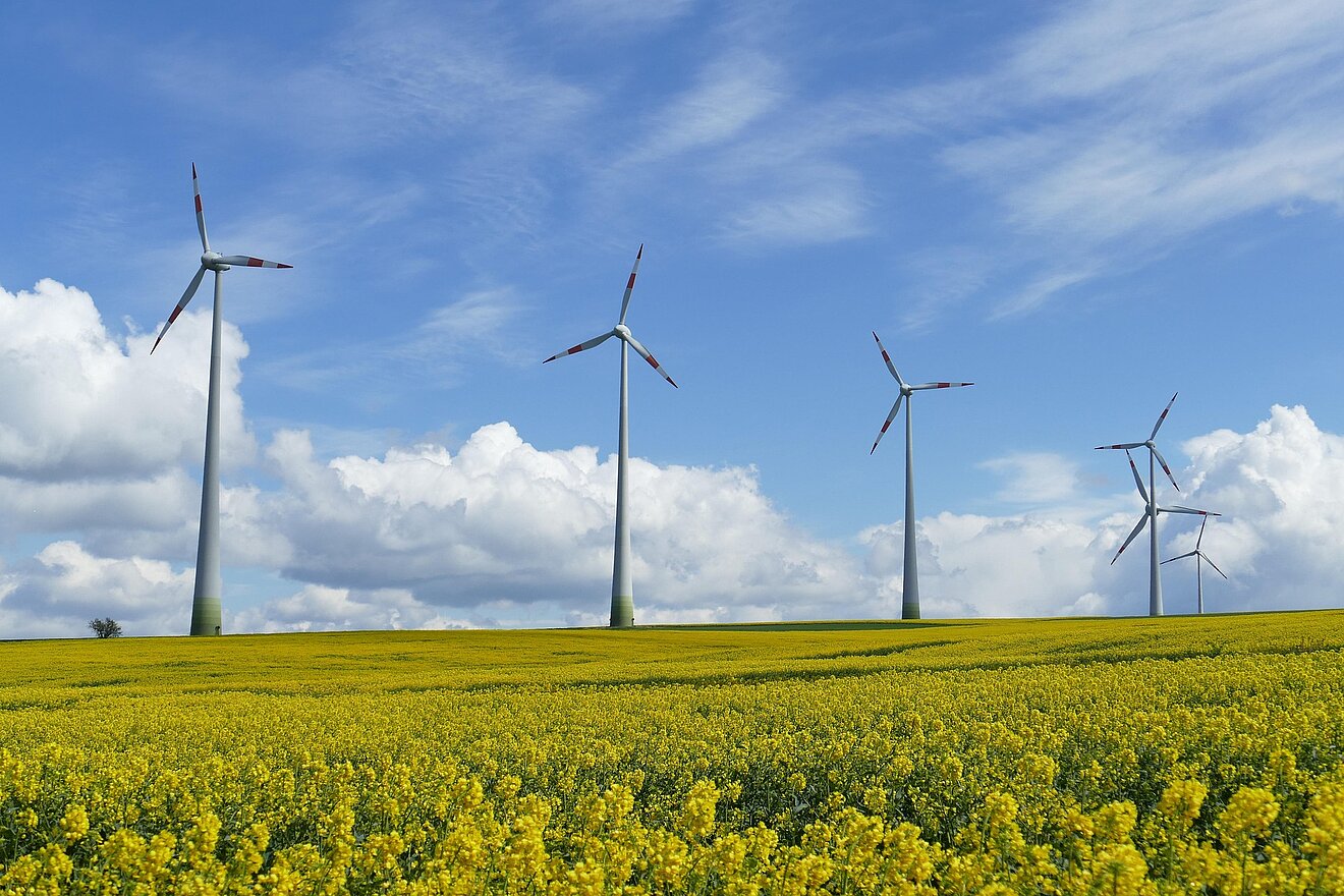 Windpark auf offenem Feld